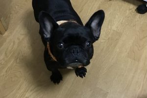 お泊まり中☆