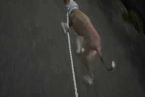 お泊り中☆