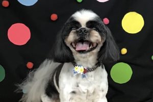 9月のお友達☆