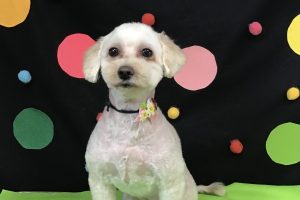 9月のお友達☆