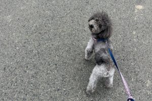 お泊まり中☆