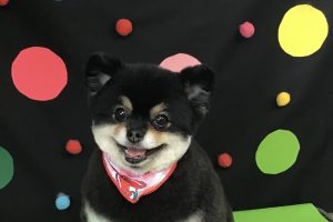 9月のお友達☆