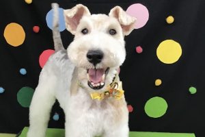 9月のお友達☆