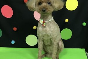 9月のお友達☆