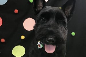 9月のお友達☆