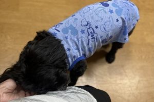 お泊り中☆