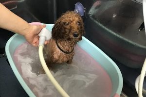 9月のお友達☆