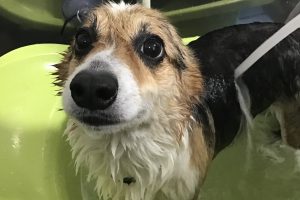 9月のお友達☆
