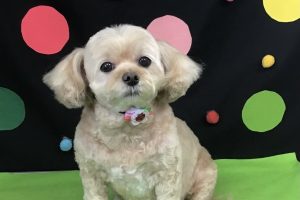 9月のお友達☆