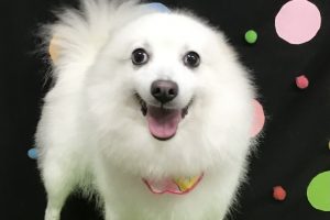 9月のお友達☆
