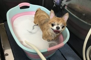 9月のお友達☆
