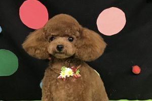 9月のお友達☆
