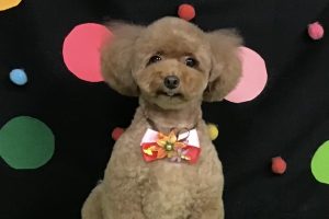 9月のお友達☆