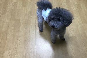 お泊り☆