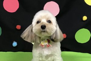 9月のお友達☆