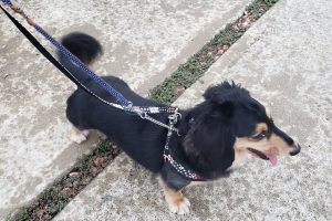 お泊まり中☆