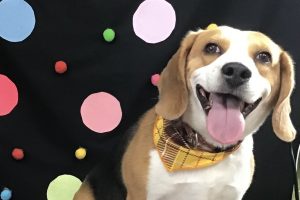 9月のお友達☆