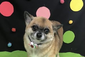 9月のお友達☆