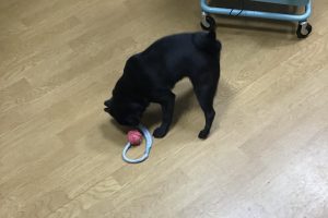 お泊り中☆