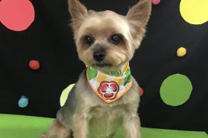 9月のお友達☆