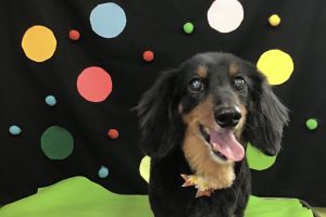 9月のお友達☆