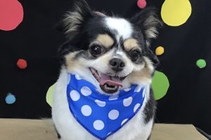 9月のお友達☆