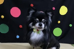 9月のお友達☆