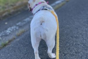 お泊り中☆