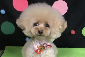 9月のお友達☆