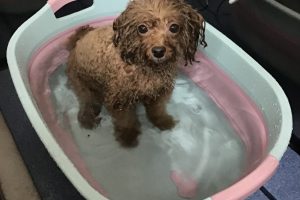 9月のお友達☆