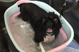9月のお友達☆