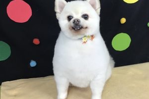 9月のお友達☆