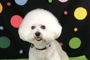 9月のお友達☆