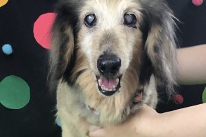 9月のお友達☆