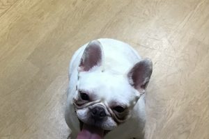 お泊り中☆