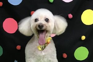 9月のお友達☆