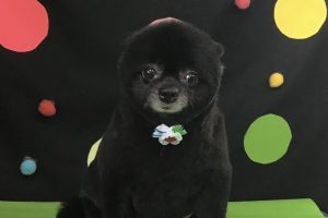 9月のお友達☆