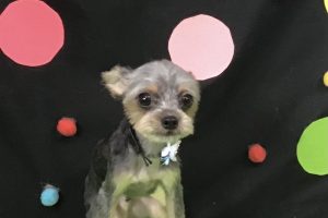 9月のお友達☆