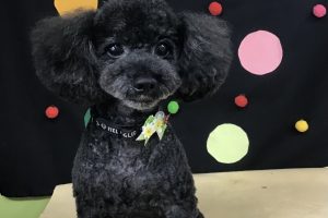 9月のお友達☆
