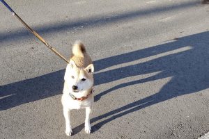 お泊まり☆