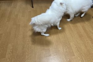 9月にお友達☆