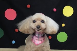 9月のお友達☆