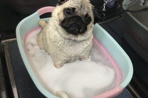 9月のお友達☆