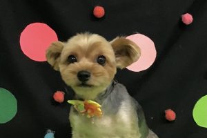 9月のお友達☆
