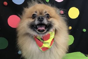 9月のお友達☆