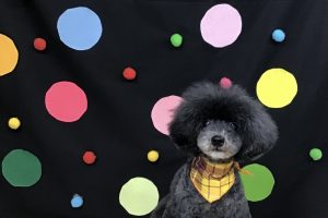 9月のお友達☆