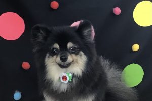 9月のお友達☆