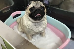 9月のお友達☆