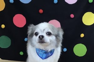 9月のお友達☆