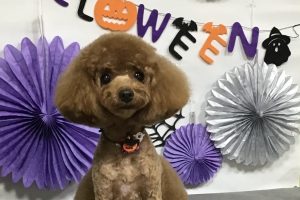 10月のお友達☆
